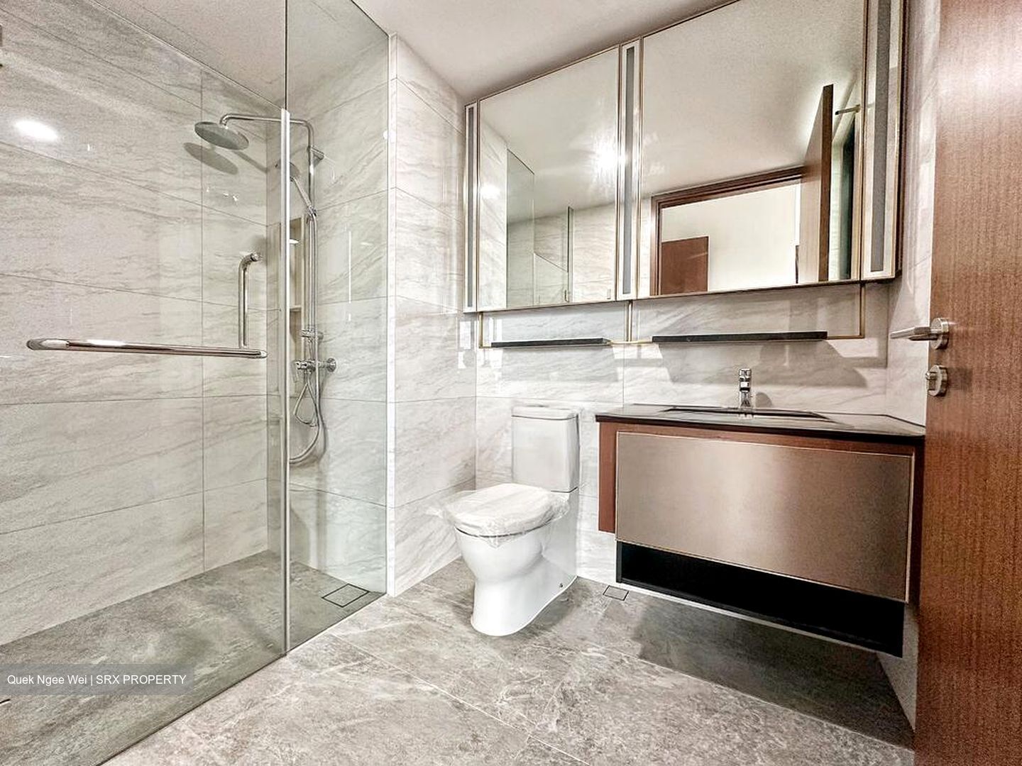 Normanton Park (D5), Apartment #523061691